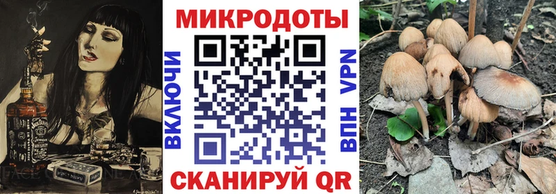 Галлюциногенные грибы Psilocybine cubensis  ссылка на мегу как зайти  Дубна 